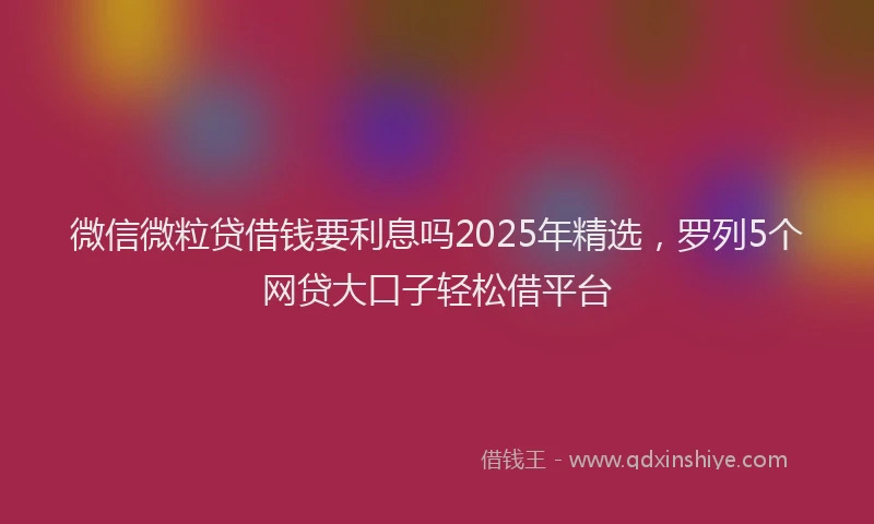 微信微粒贷借钱要利息吗2025年精选，罗列5个网贷大口子轻松借平台