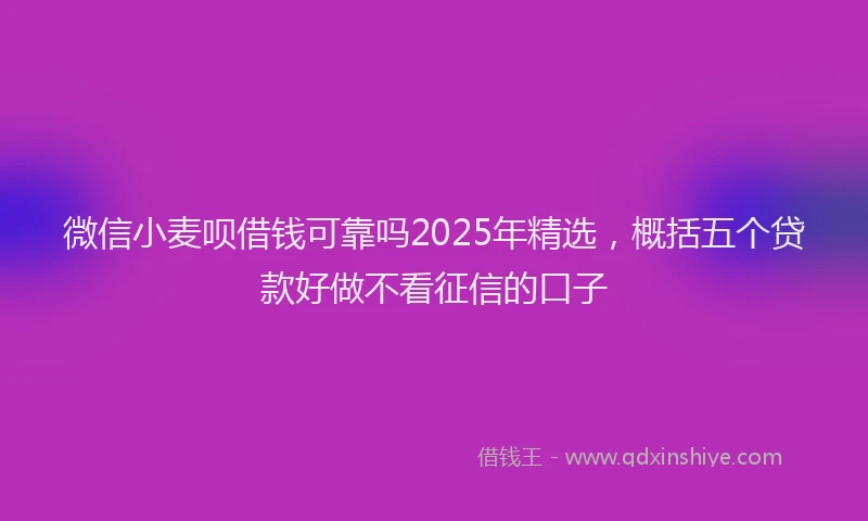 微信小麦呗借钱可靠吗2025年精选，概括五个贷款好做不看征信的口子