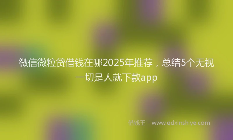 微信微粒贷借钱在哪2025年推荐，总结5个无视一切是人就下款app