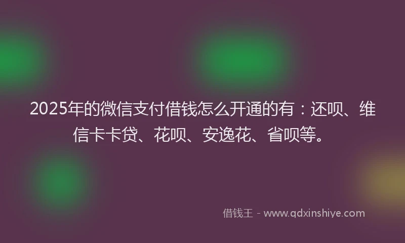 2025年的微信支付借钱怎么开通的有:还呗、维信卡卡贷、花呗、安逸花、省呗等。
