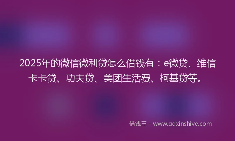 2025年的微信微利贷怎么借钱有：e微贷、维信卡卡贷、功夫贷、美团生活费、柯基贷等。