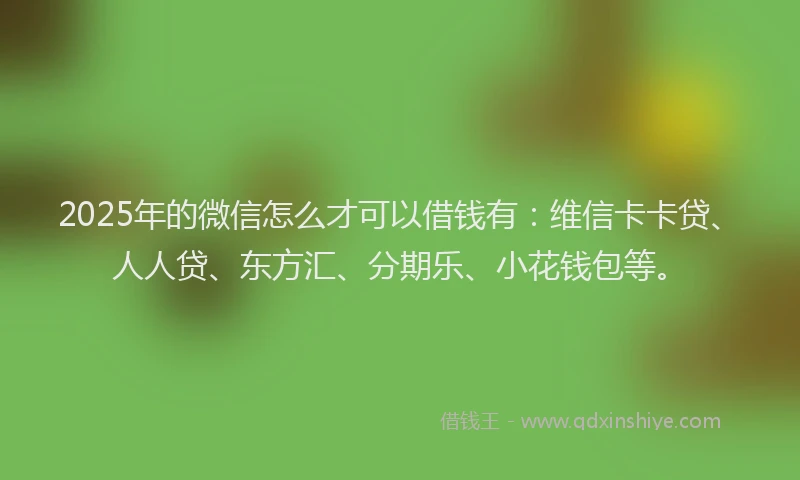 2025年的微信怎么才可以借钱有：维信卡卡贷、人人贷、东方汇、分期乐、小花钱包等。