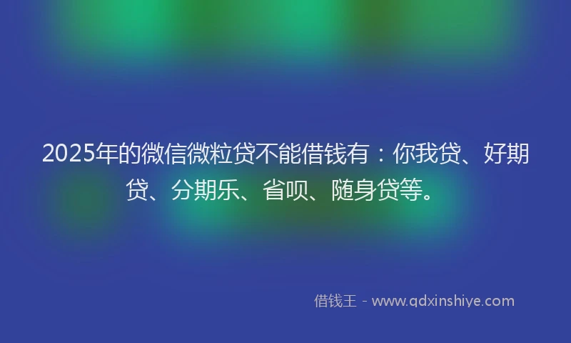 2025年的微信微粒贷不能借钱有：你我贷、好期贷、分期乐、省呗、随身贷等。