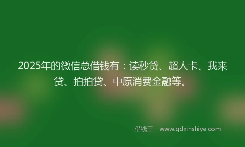 2025年的微信总借钱有：读秒贷、超人卡、我来贷、拍拍贷、中原消费金融等。