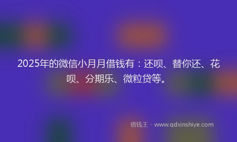 2025年的微信小月月借钱有：还呗、替你还、花呗、分期乐、微粒贷等。