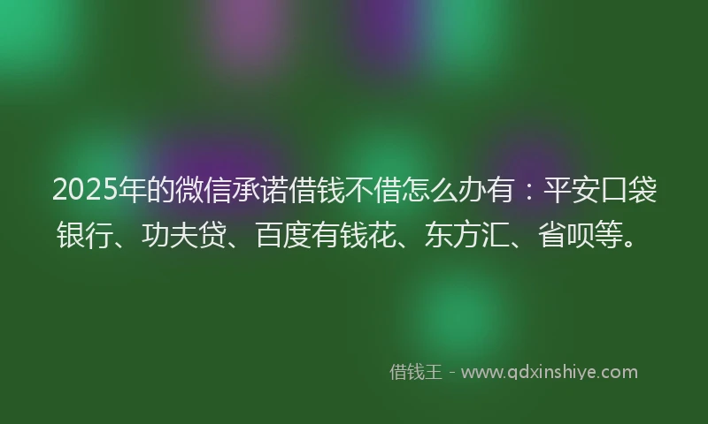 2025年的微信承诺借钱不借怎么办有：平安口袋银行、功夫贷、百度有钱花、东方汇、省呗等。