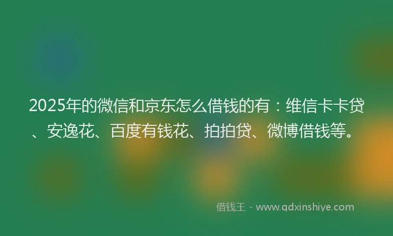 2025年的微信和京东怎么借钱的有：维信卡卡贷、安逸花、百度有钱花、拍拍贷、微博借钱等。