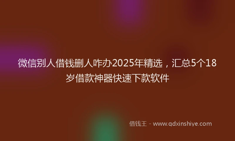 微信别人借钱删人咋办2025年精选，汇总5个18岁借款神器快速下款软件
