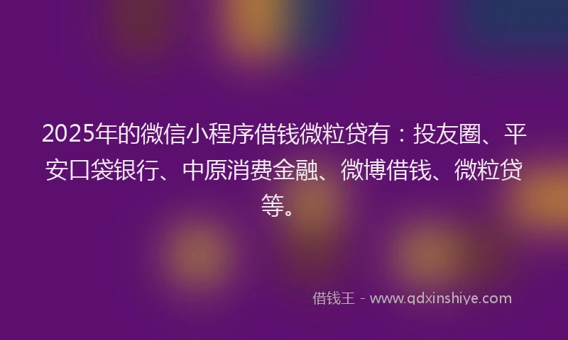 2025年的微信小程序借钱微粒贷有：投友圈、平安口袋银行、中原消费金融、微博借钱、微粒贷等。