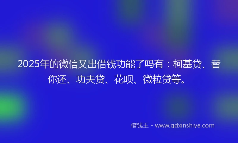 2025年的微信又出借钱功能了吗有：柯基贷、替你还、功夫贷、花呗、微粒贷等。