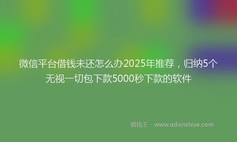 微信平台借钱未还怎么办2025年推荐，归纳5个无视一切包下款5000秒下款的软件