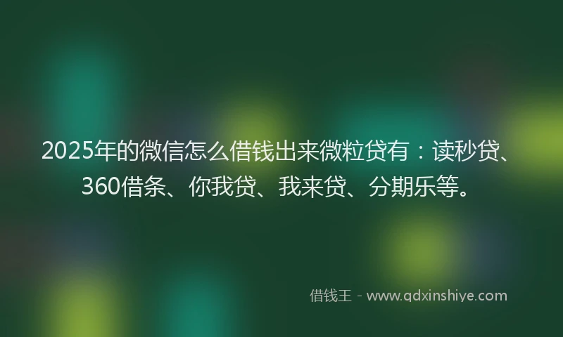 2025年的微信怎么借钱出来微粒贷有：读秒贷、360借条、你我贷、我来贷、分期乐等。