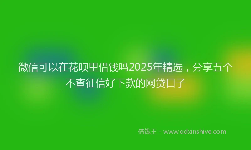 微信可以在花呗里借钱吗2025年精选，分享五个不查征信好下款的网贷口子