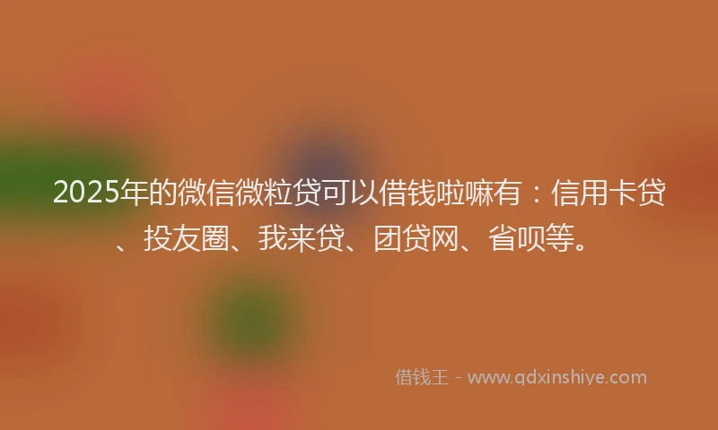 2025年的微信微粒贷可以借钱啦嘛有：信用卡贷、投友圈、我来贷、团贷网、省呗等。