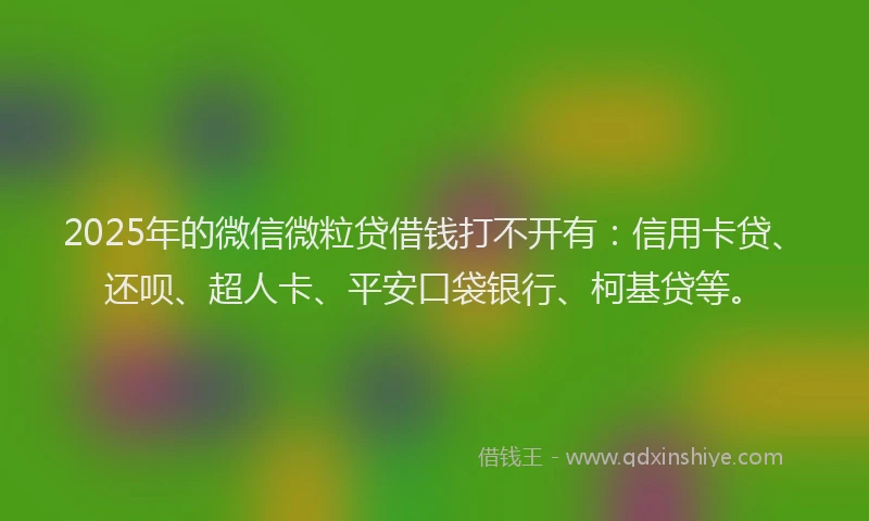2025年的微信微粒贷借钱打不开有：信用卡贷、还呗、超人卡、平安口袋银行、柯基贷等。