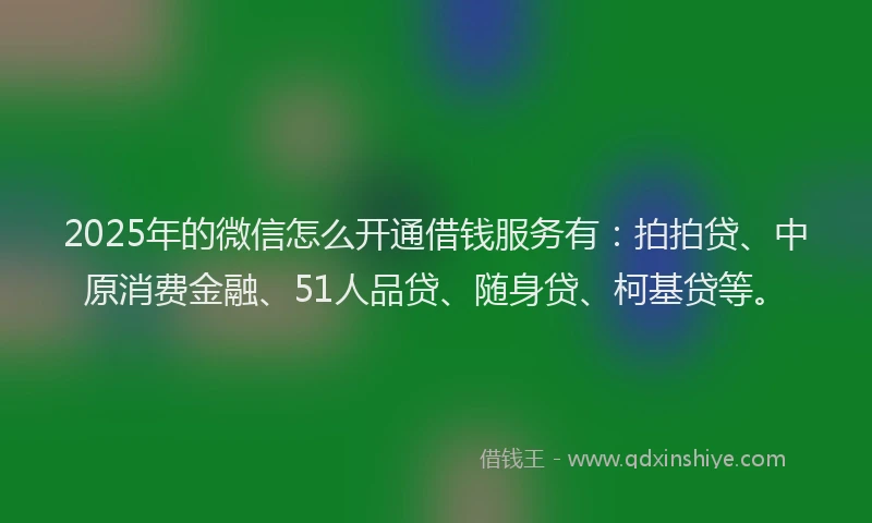 2025年的微信怎么开通借钱服务有：拍拍贷、中原消费金融、51人品贷、随身贷、柯基贷等。