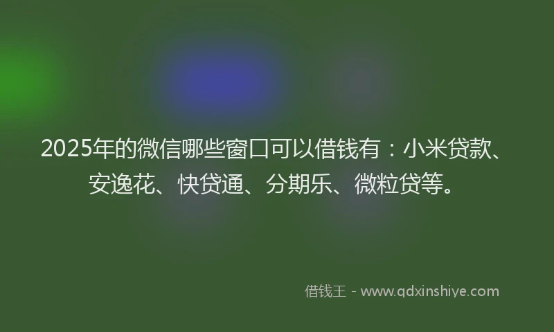 2025年的微信哪些窗口可以借钱有：小米贷款、安逸花、快贷通、分期乐、微粒贷等。