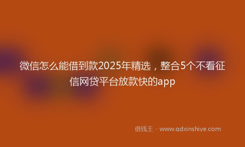 微信怎么能借到款2025年精选，整合5个不看征信网贷平台放款快的app