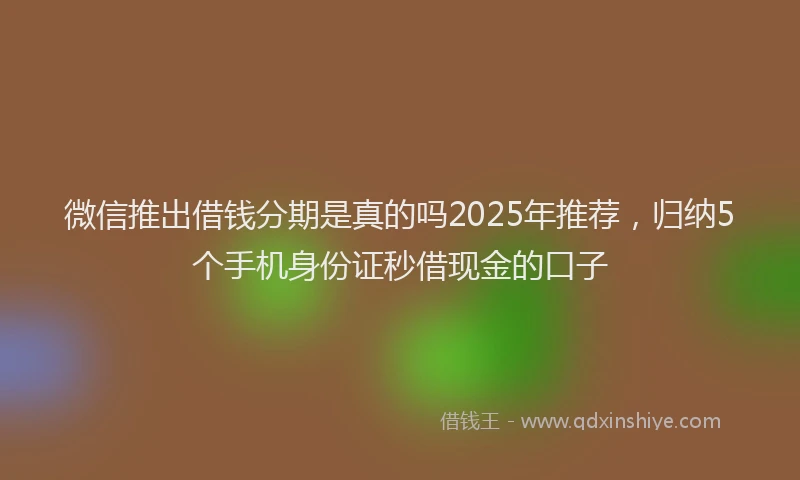 微信推出借钱分期是真的吗2025年推荐，归纳5个手机身份证秒借现金的口子