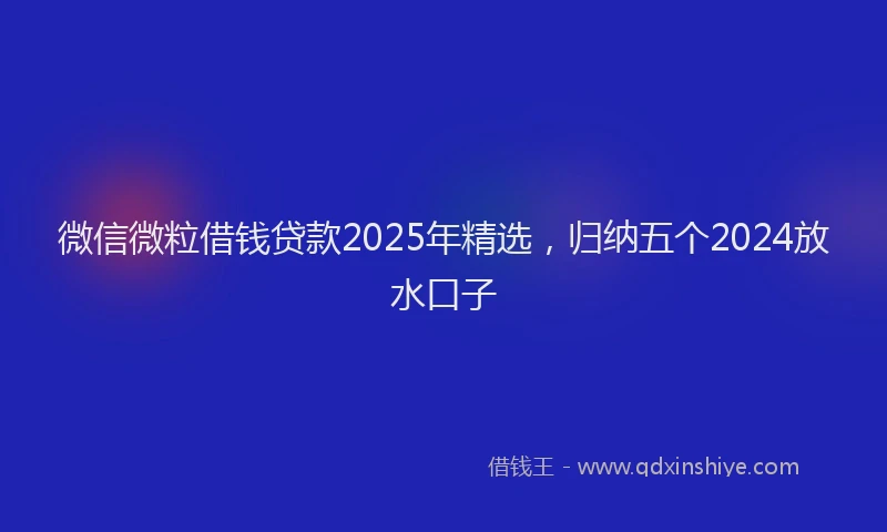 微信微粒借钱贷款2025年精选，归纳五个2024放水口子