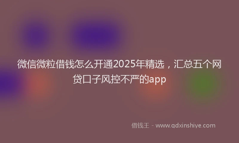 微信微粒借钱怎么开通2025年精选，汇总五个网贷口子风控不严的app