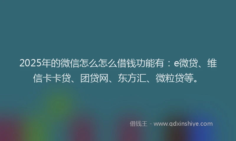 2025年的微信怎么怎么借钱功能有：e微贷、维信卡卡贷、团贷网、东方汇、微粒贷等。
