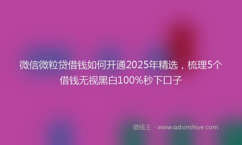 微信微粒贷借钱如何开通2025年精选，梳理5个借钱无视黑白100%秒下口子