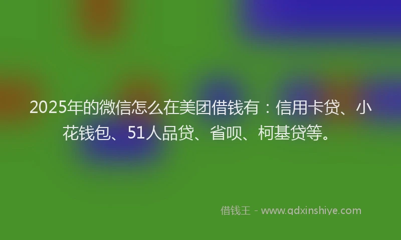 2025年的微信怎么在美团借钱有：信用卡贷、小花钱包、51人品贷、省呗、柯基贷等。