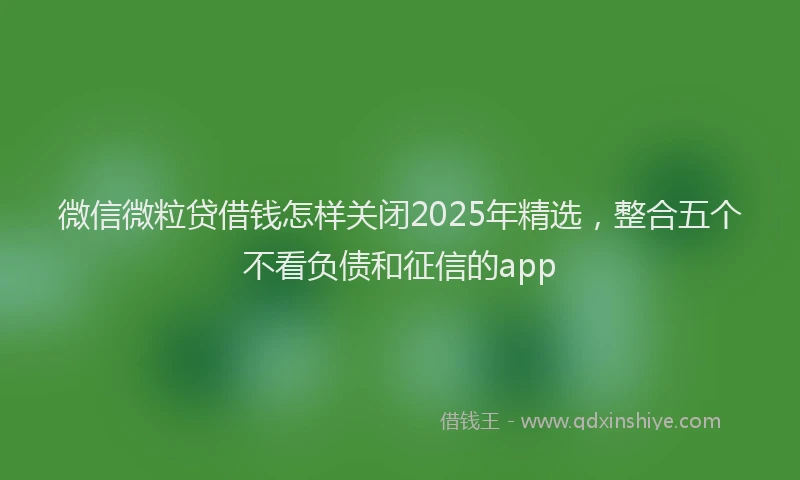 微信微粒贷借钱怎样关闭2025年精选，整合五个不看负债和征信的app