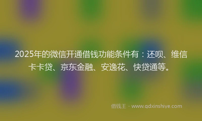 2025年的微信开通借钱功能条件有：还呗、维信卡卡贷、京东金融、安逸花、快贷通等。