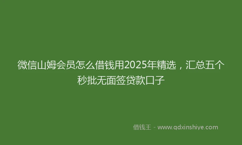 微信山姆会员怎么借钱用2025年精选，汇总五个秒批无面签贷款口子