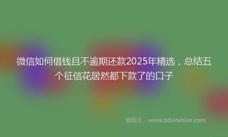 微信如何借钱且不逾期还款2025年精选，总结五个征信花居然都下款了的口子