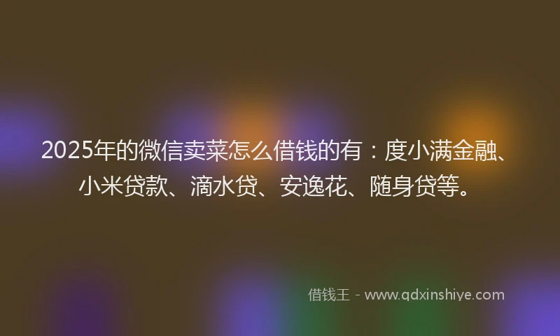 2025年的微信卖菜怎么借钱的有：度小满金融、小米贷款、滴水贷、安逸花、随身贷等。