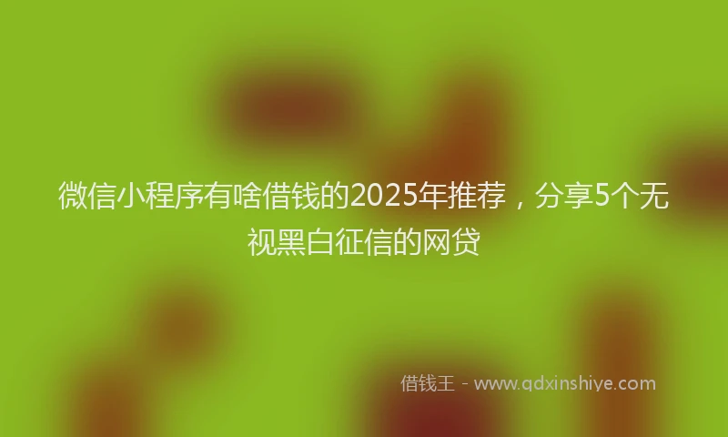 微信小程序有啥借钱的2025年推荐，分享5个无视黑白征信的网贷