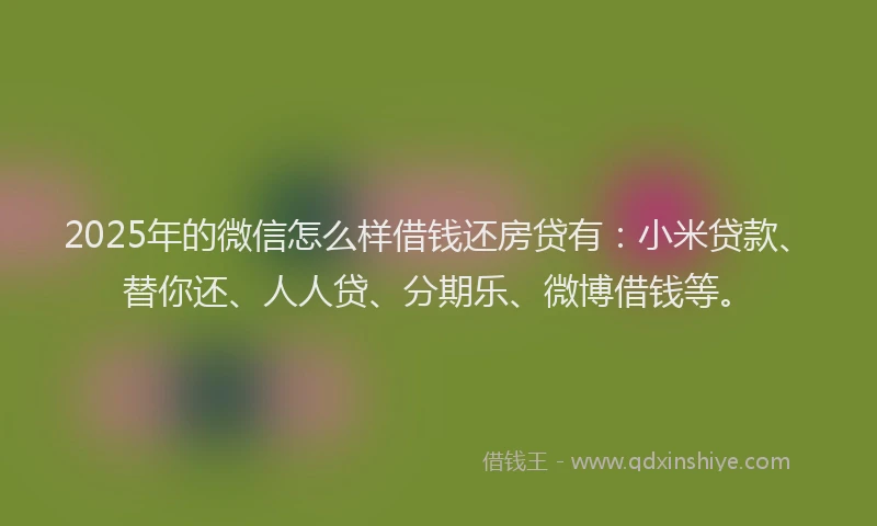 2025年的微信怎么样借钱还房贷有：小米贷款、替你还、人人贷、分期乐、微博借钱等。