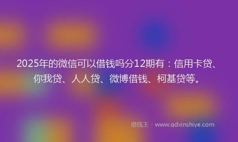 2025年的微信可以借钱吗分12期有：信用卡贷、你我贷、人人贷、微博借钱、柯基贷等。