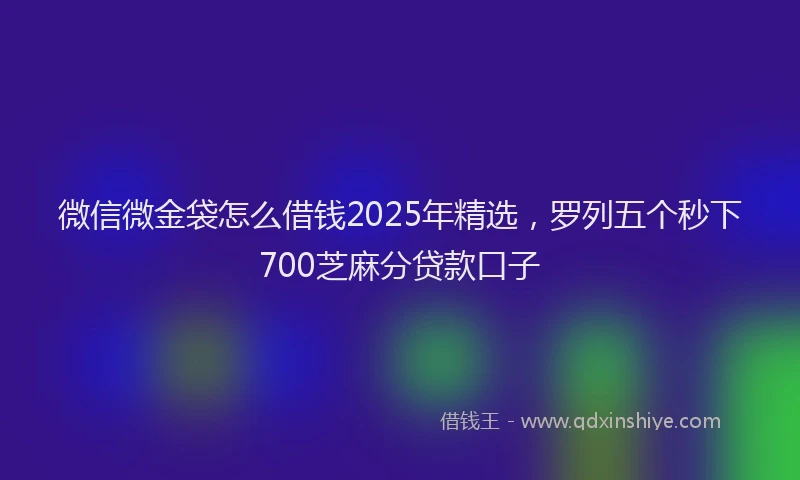 微信微金袋怎么借钱2025年精选，罗列五个秒下700芝麻分贷款口子