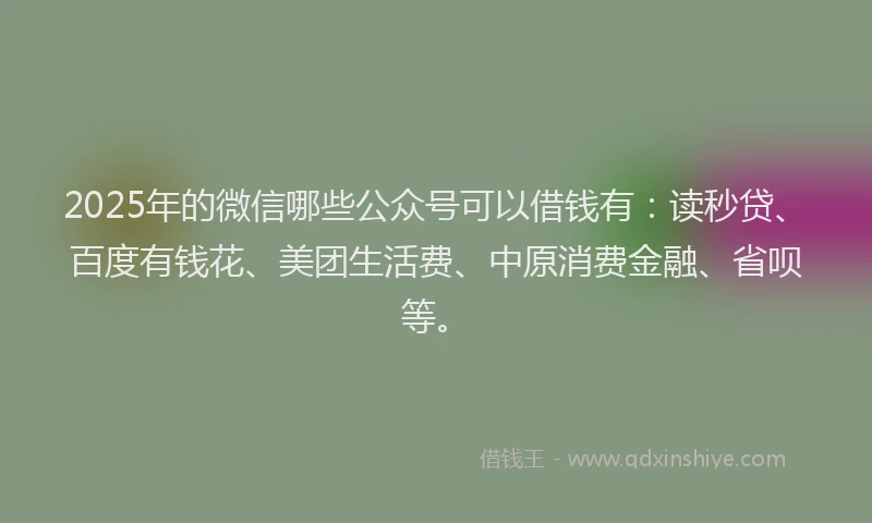 2025年的微信哪些公众号可以借钱有：读秒贷、百度有钱花、美团生活费、中原消费金融、省呗等。