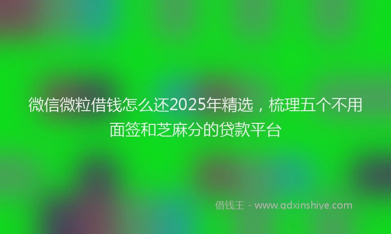 微信微粒借钱怎么还2025年精选，梳理五个不用面签和芝麻分的贷款平台