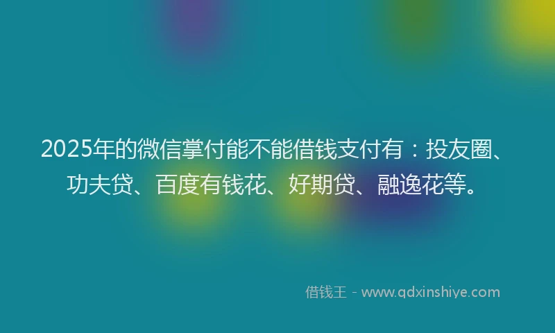 2025年的微信掌付能不能借钱支付有：投友圈、功夫贷、百度有钱花、好期贷、融逸花等。