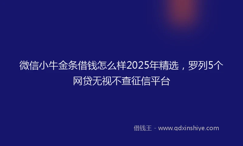 微信小牛金条借钱怎么样2025年精选，罗列5个网贷无视不查征信平台
