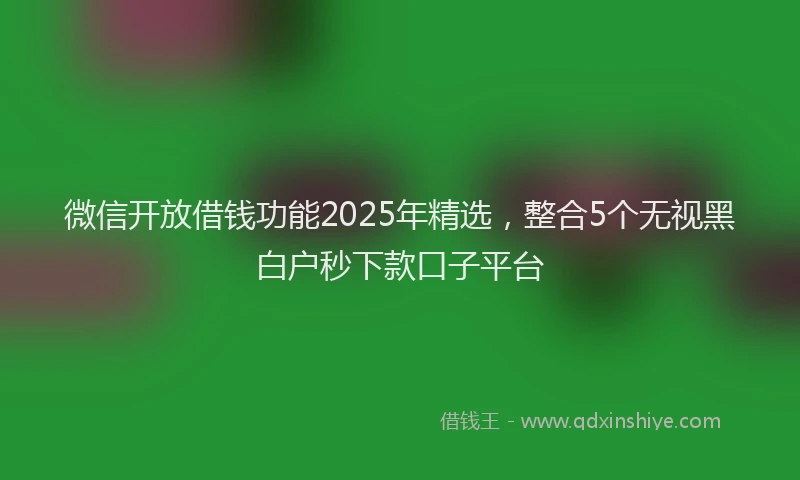 微信开放借钱功能2025年精选，整合5个无视黑白户秒下款口子平台