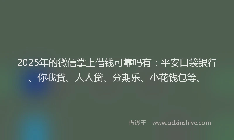 2025年的微信掌上借钱可靠吗有：平安口袋银行、你我贷、人人贷、分期乐、小花钱包等。