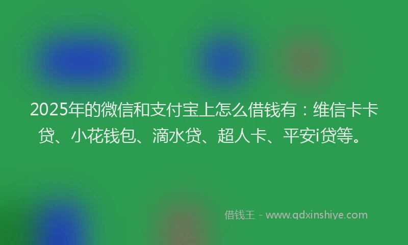 2025年的微信和支付宝上怎么借钱有：维信卡卡贷、小花钱包、滴水贷、超人卡、平安i贷等。