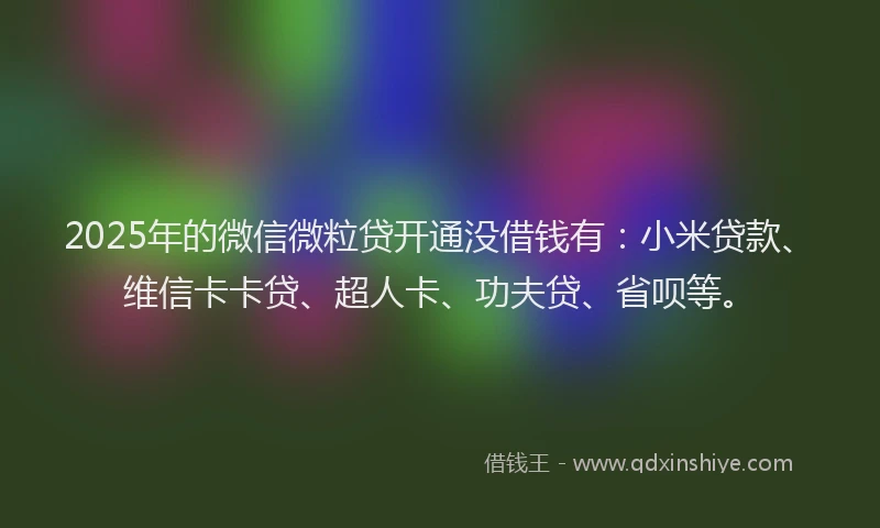 2025年的微信微粒贷开通没借钱有：小米贷款、维信卡卡贷、超人卡、功夫贷、省呗等。
