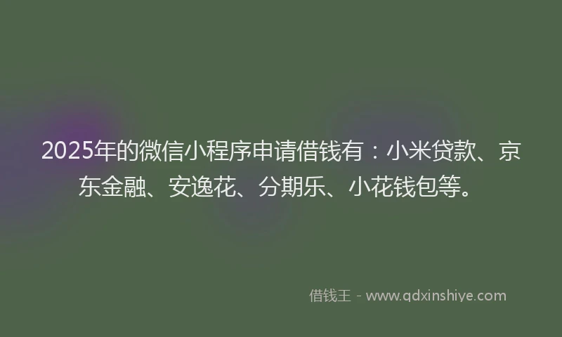 2025年的微信小程序申请借钱有：小米贷款、京东金融、安逸花、分期乐、小花钱包等。