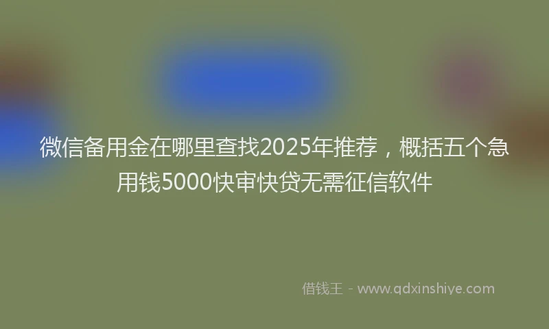 微信备用金在哪里查找2025年推荐，概括五个急用钱5000快审快贷无需征信软件