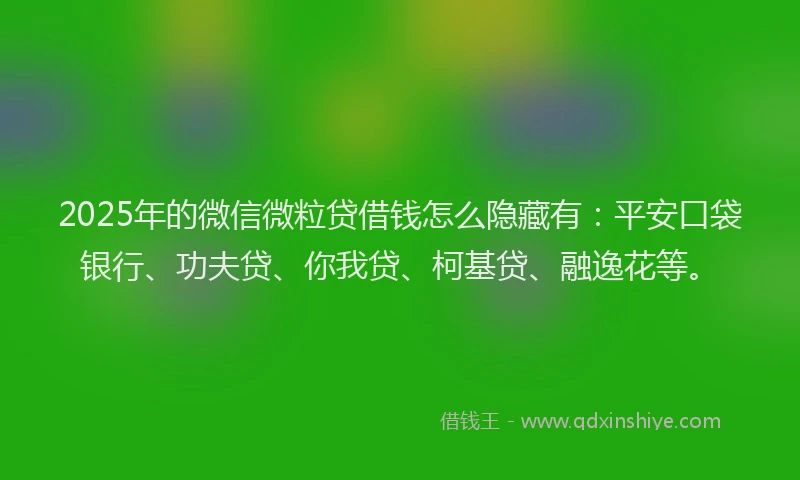 2025年的微信微粒贷借钱怎么隐藏有：平安口袋银行、功夫贷、你我贷、柯基贷、融逸花等。
