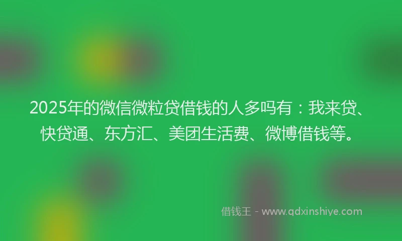 2025年的微信微粒贷借钱的人多吗有：我来贷、快贷通、东方汇、美团生活费、微博借钱等。
