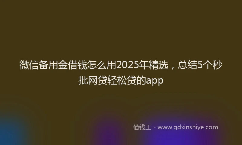 微信备用金借钱怎么用2025年精选，总结5个秒批网贷轻松贷的app